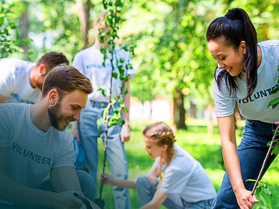 Bénévoles d’entreprise plantant un arbre lors d’une action solidaire