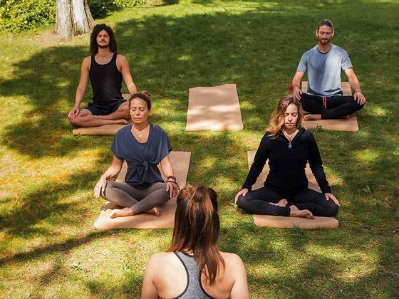 Collaborateurs pratiquant le yoga sur l’herbe en plein air